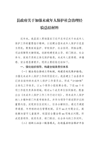 县政府关于加强未成年人保护社会治理经验总结材料.docx