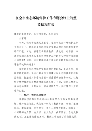在全市生态环境保护工作专题会议上的整改情况汇报.docx