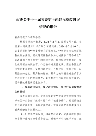 市委关于十一届省委第七轮巡视整改进展情况的报告.docx