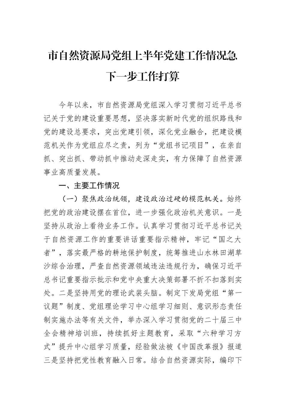 市自然资源局党组上半年党建工作情况急下一步工作打算.docx_第1页