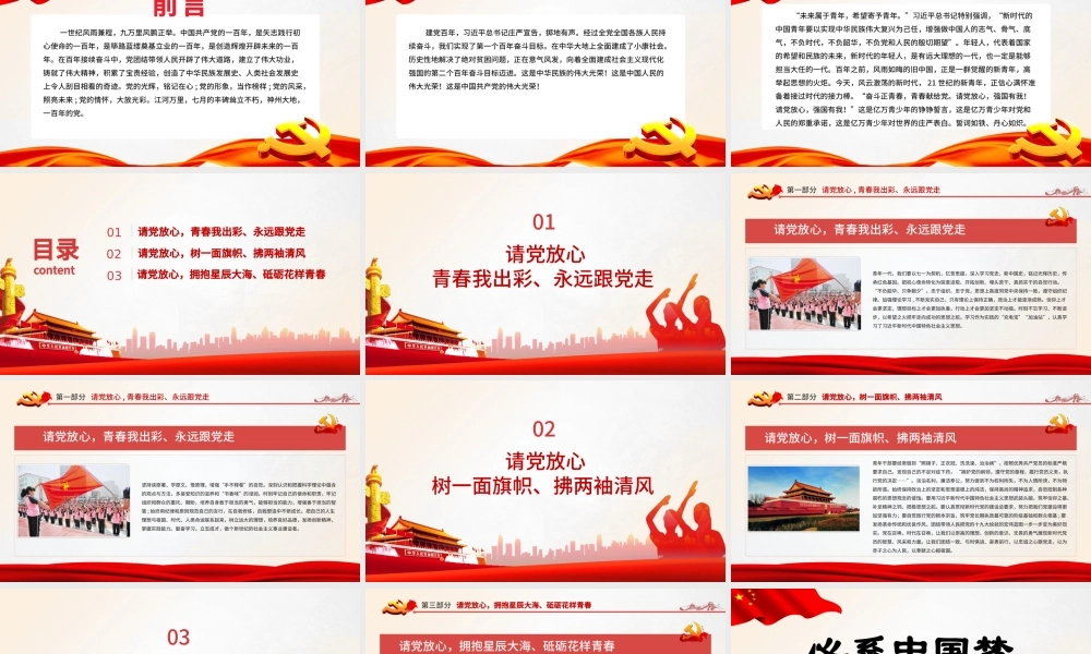 2021请党放心强国有我PPT心系中国梦庆祝建党100周年誓词心得体会与感悟党课课件.pptx