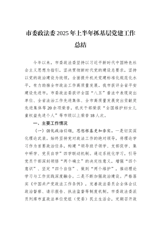 市委政法委2025年上半年抓基层党建工作总结.docx