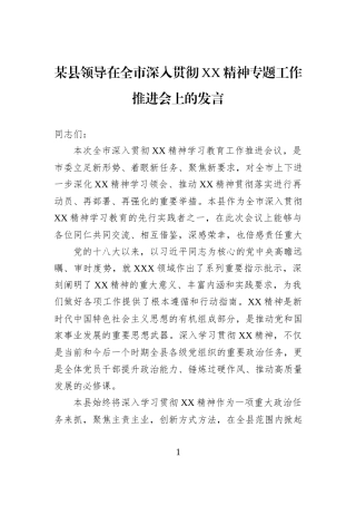 某县领导在全市深入贯彻XX精神专题工作推进会上的发言.docx
