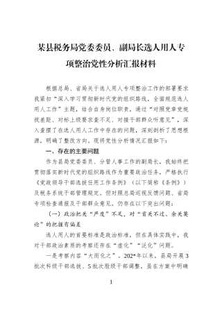 某县税务局党委委员、副局长选人用人专项整治党性分析汇报材料.docx