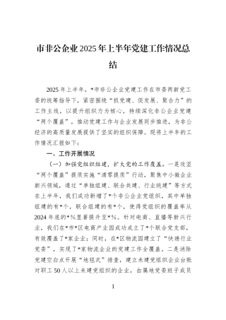 市非公企业2025年上半年党建工作情况总结.docx