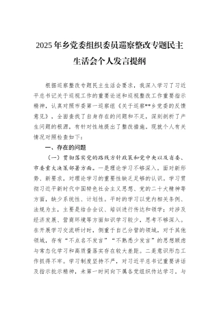 2025年乡党委组织委员巡察整改专题民主生活会个人发言提纲.docx
