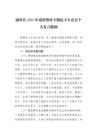 副乡长2025年巡察整改专题民主生活会个人发言提纲.docx