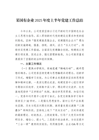 某国有企业2025年度上半年党建工作总结.docx