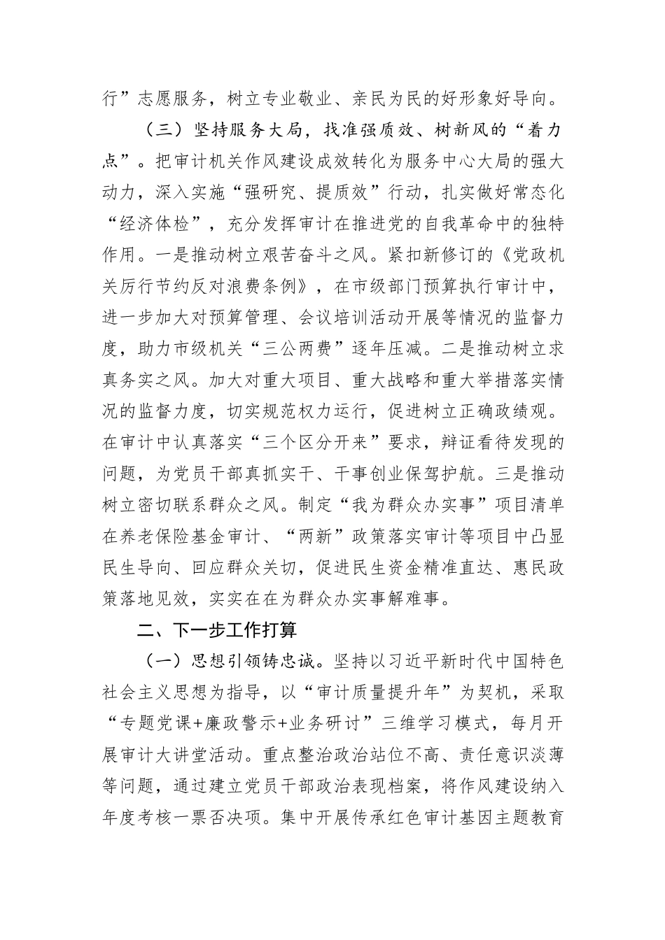 市审计局党组关于推进审计干部队伍作风建设工作情况的报告.docx_第3页