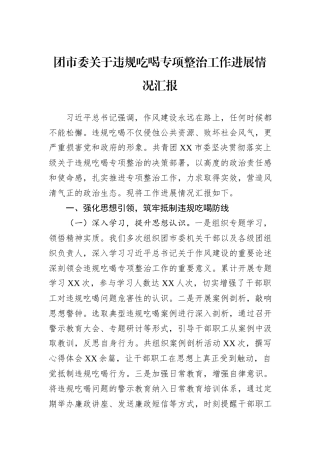 团市委关于违规吃喝专项整治工作进展情况汇报.docx
