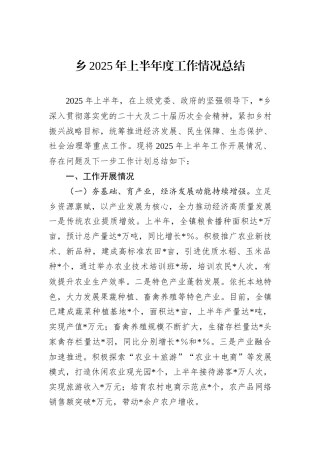 乡2025年上半年度工作情况总结.docx