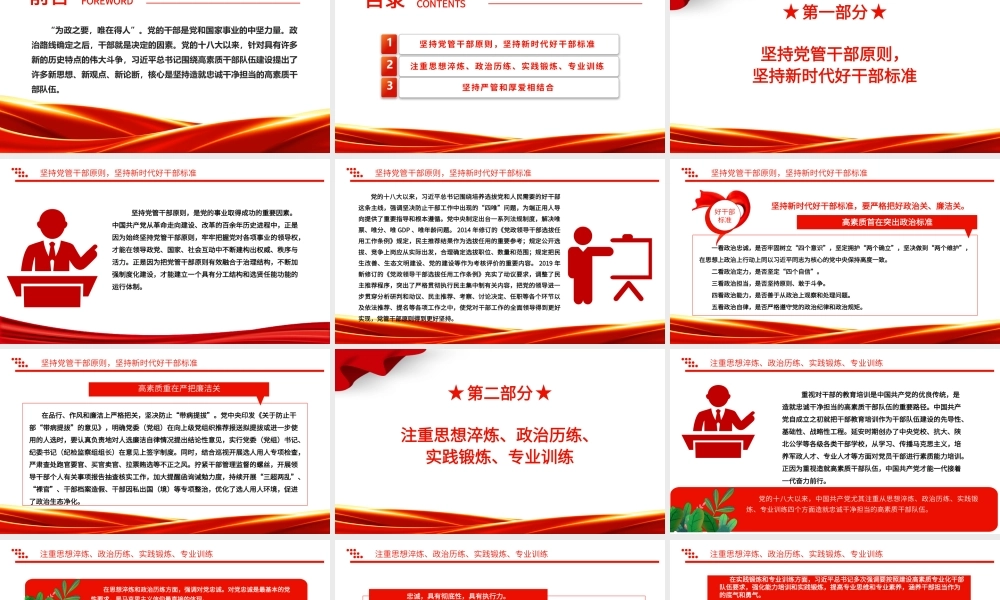 2023坚持造就忠诚干净担当的高素质干部队伍ppt精美党政风贯彻落实习近平新时代党建思想党组织党员党建专题党课课件.pptx
