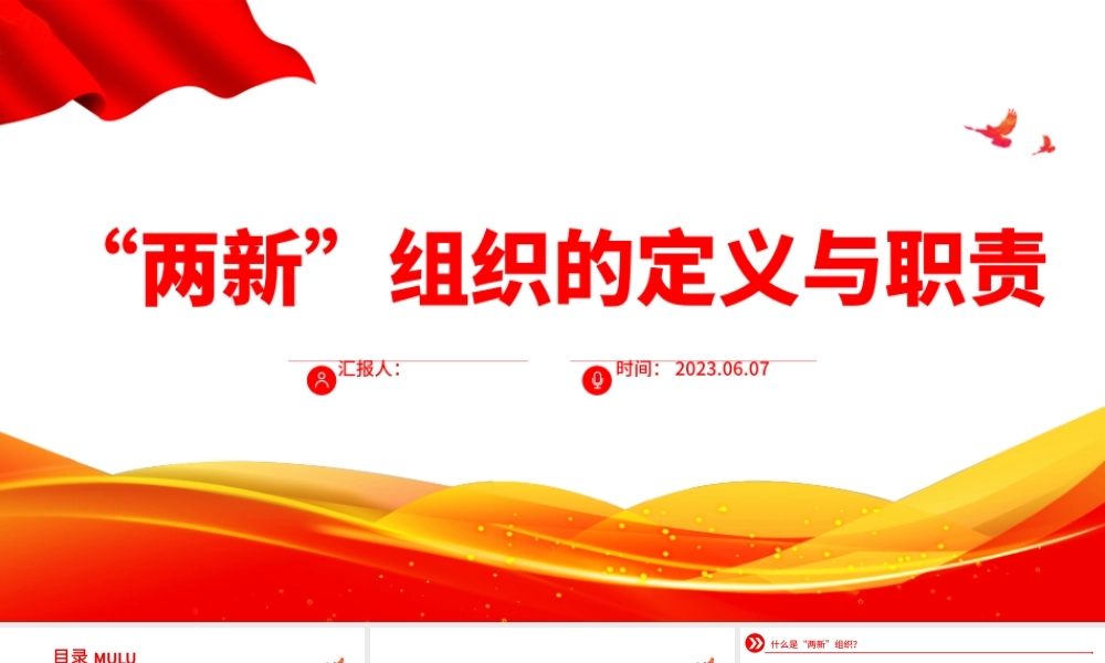 2023两新组织的定义与职责PPT精美简约党建知识微课堂党课课件.pptx