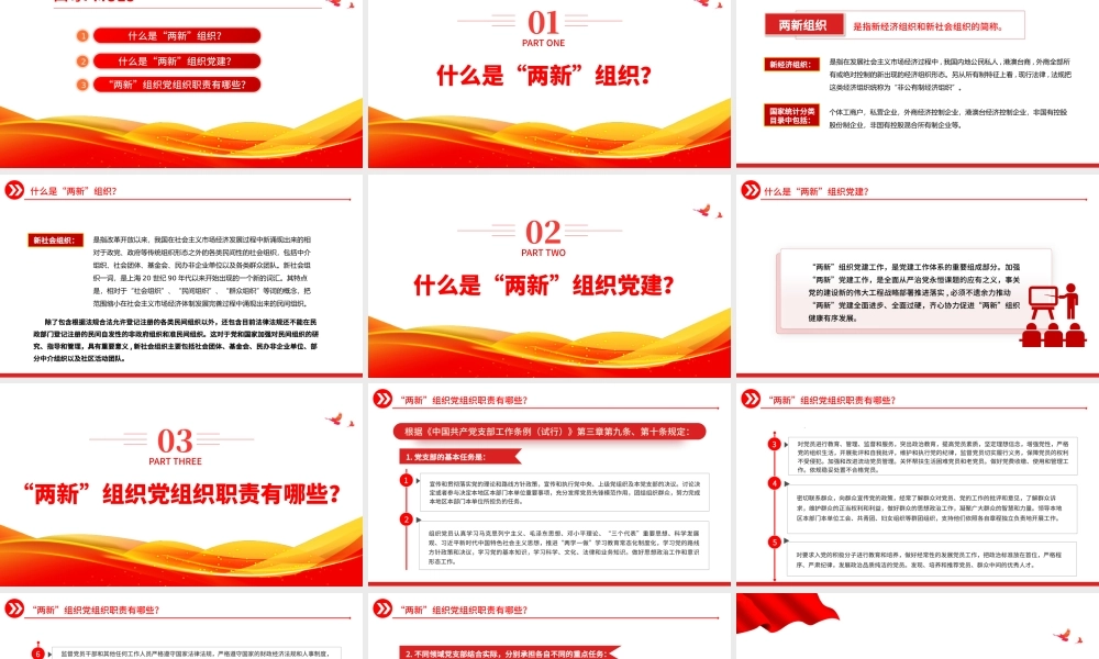2023两新组织的定义与职责PPT精美简约党建知识微课堂党课课件.pptx