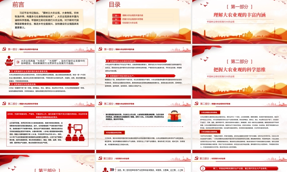 2024牢固树立和切实践行大农业观PPT党政风乡村振兴微党课.pptx