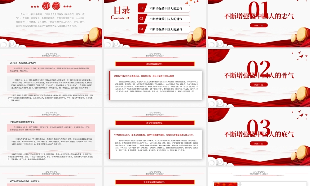 不断增强做中国人的志气骨气底气PPT红色精美新时代中国青年要让青春在实践中绽放励志党课课件.pptx