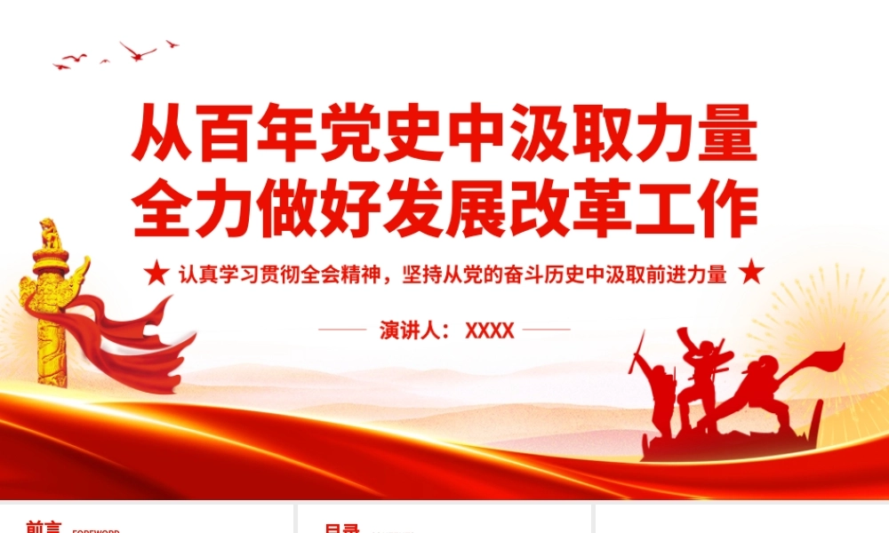 从百年党史中汲取力量 全力做好发展改革工作.pptx