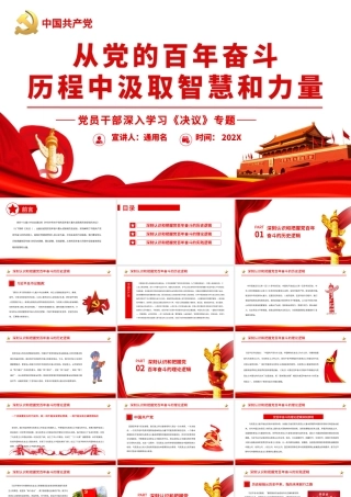 从党的百年奋斗历程中汲取智慧和力量.pptx
