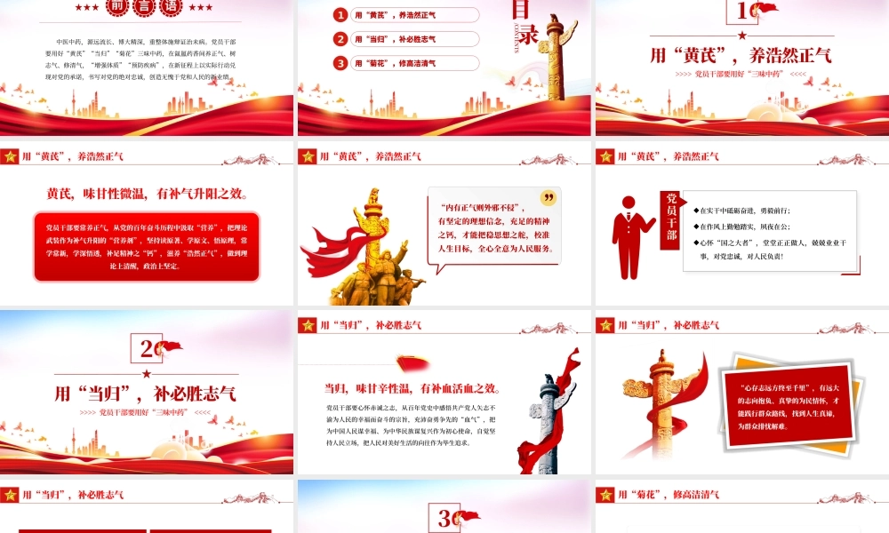 党员干部要用好三味中药PPT党政风党员干部学习教育主题党日活动专题党课课件模板.pptx