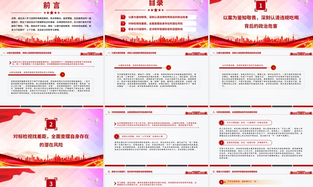 党政风青年干部学习违规吃喝典型案例研讨发言PPT课件.pptx