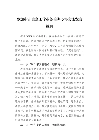 参加审计信息工作业务培训心得交流发言材料.docx