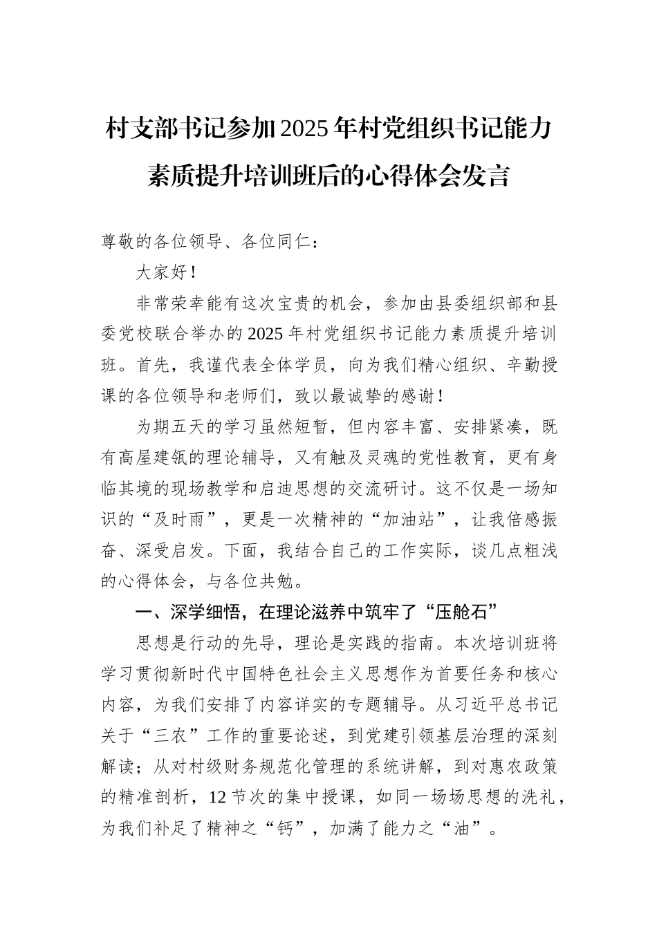 村支部书记参加2025年村党组织书记能力素质提升培训班后的心得体会发言.docx_第1页