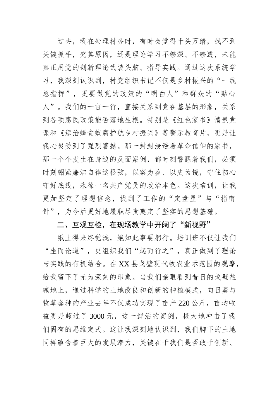 村支部书记参加2025年村党组织书记能力素质提升培训班后的心得体会发言.docx_第2页