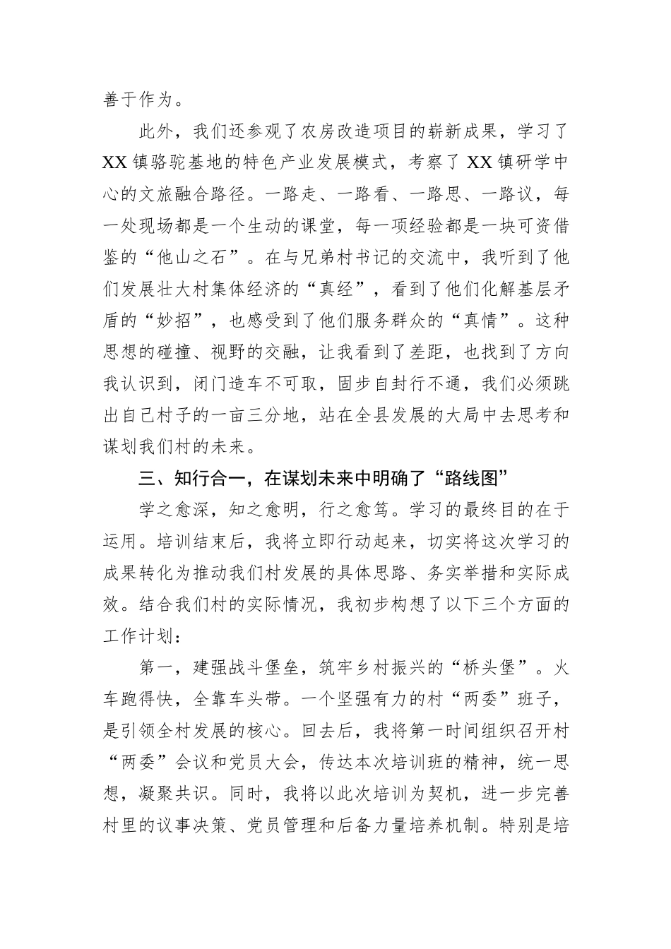 村支部书记参加2025年村党组织书记能力素质提升培训班后的心得体会发言.docx_第3页