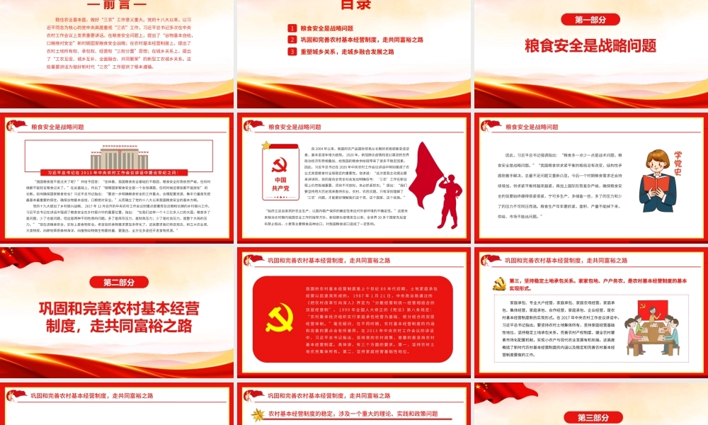 贯彻落实好新时代党的“三农”政策.pptx