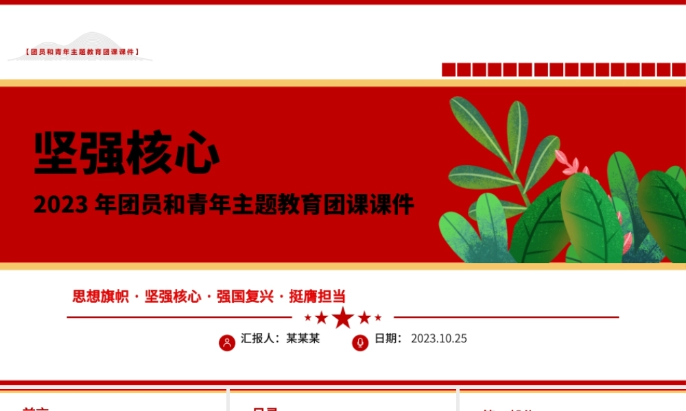 坚强核心PPT红色党政风2023年团员和青年主题教育专题团课课件.pptx