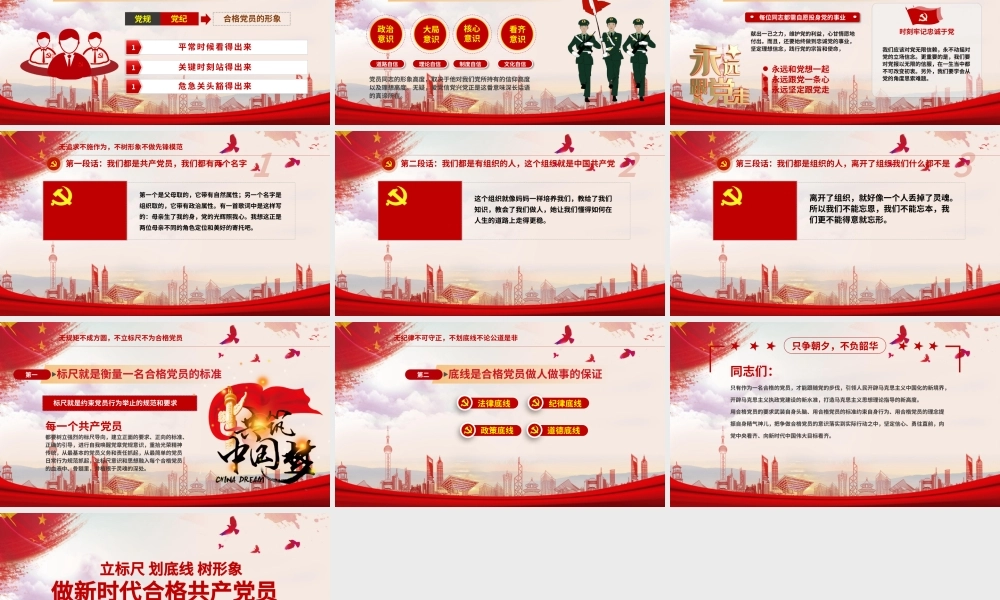 立标尺划底线树形象做新时代合格共产党员入党宣誓专题微党课PPT模板.pptx