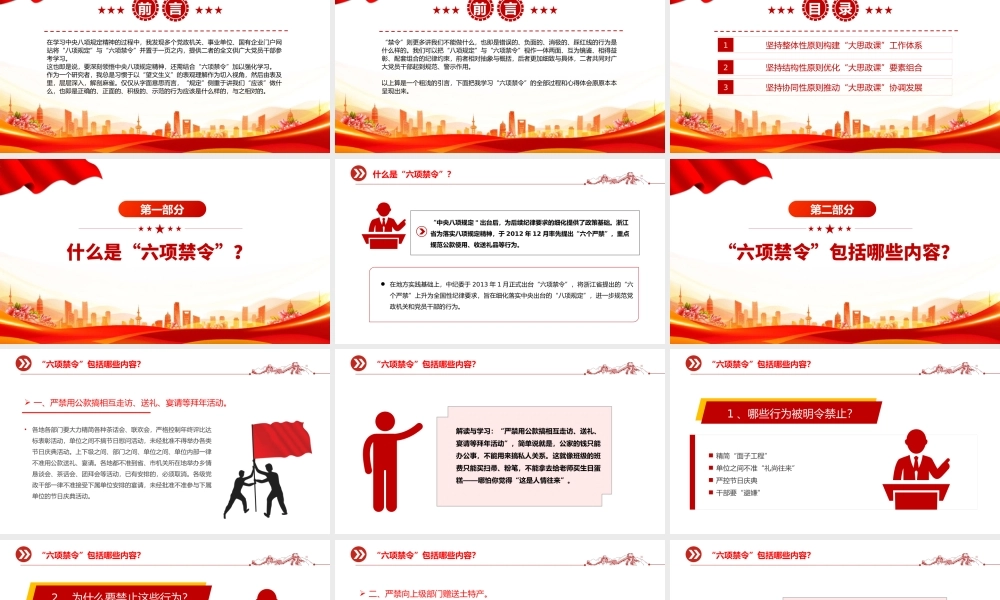 什么是中央六项禁令PPT精美简洁党的作风建设课件.pptx