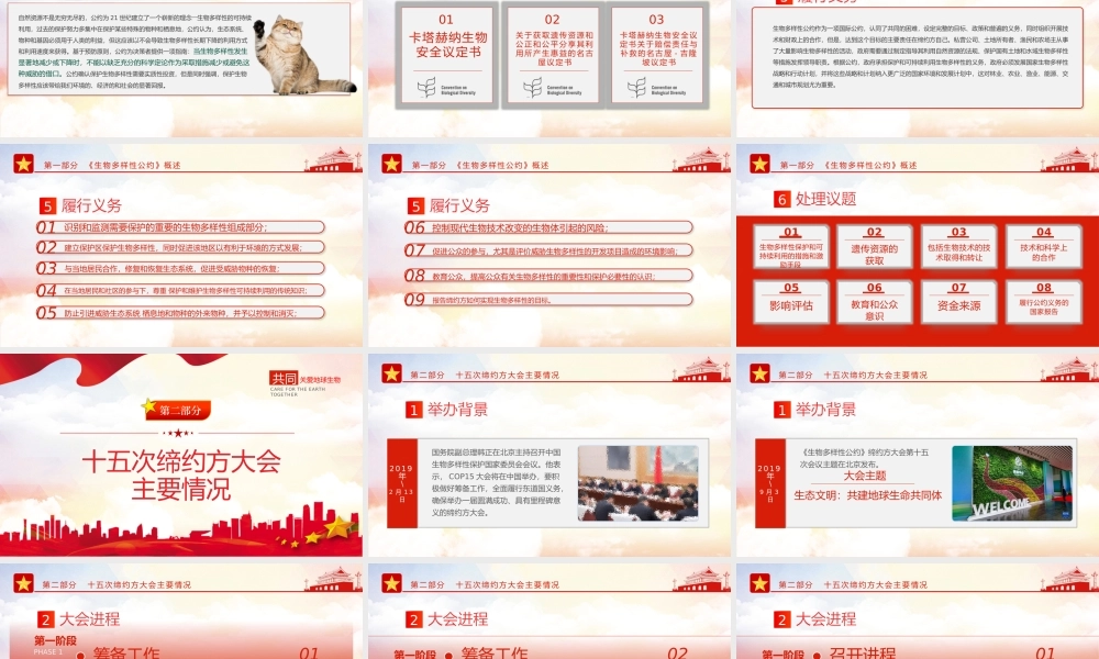 生物多样性公约缔约方大会第十五次会议PPT红色党政风共建地球生命共同体生态文明党课课件.pptx