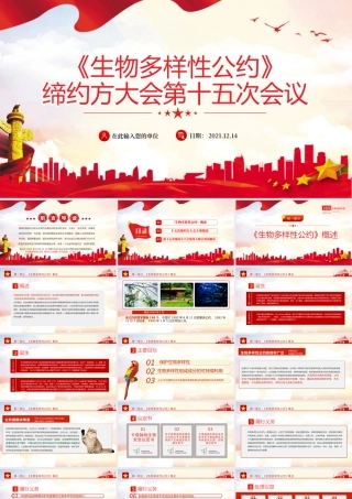 生物多样性公约缔约方大会第十五次会议PPT红色党政风共建地球生命共同体生态文明党课课件.pptx