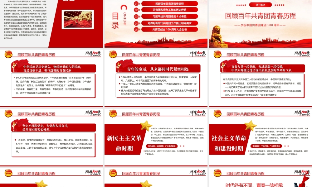 在庆祝中国共产主义青年团成立100周年大会上的讲话党政党政.pptx