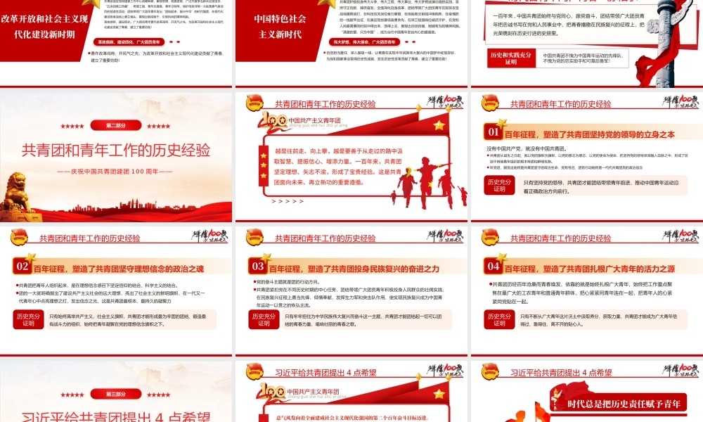 在庆祝中国共产主义青年团成立100周年大会上的讲话党政党政.pptx