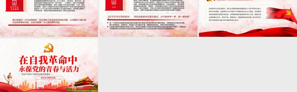 在自我革命中永葆党的青春与活力PPT党政风党员干部学习教育专题党课.pptx