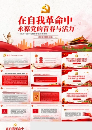 在自我革命中永葆党的青春与活力PPT党政风党员干部学习教育专题党课.pptx