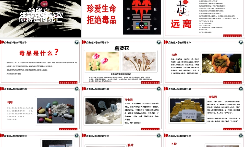 【完整内容】国际禁毒日珍爱生命远离毒品禁毒知识教育PPT课件模板.pptx