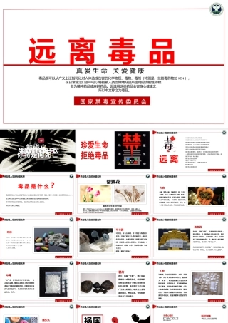 【完整内容】国际禁毒日珍爱生命远离毒品禁毒知识教育PPT课件模板.pptx