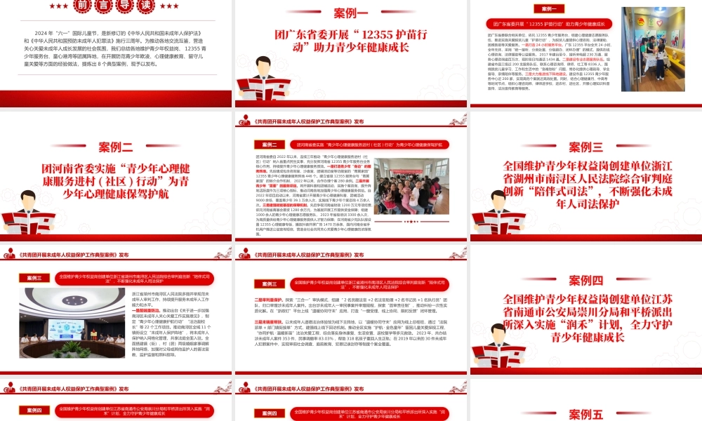 8个关于《共青团开展未成年人权益保护工作典型案例》PPT课件.pptx