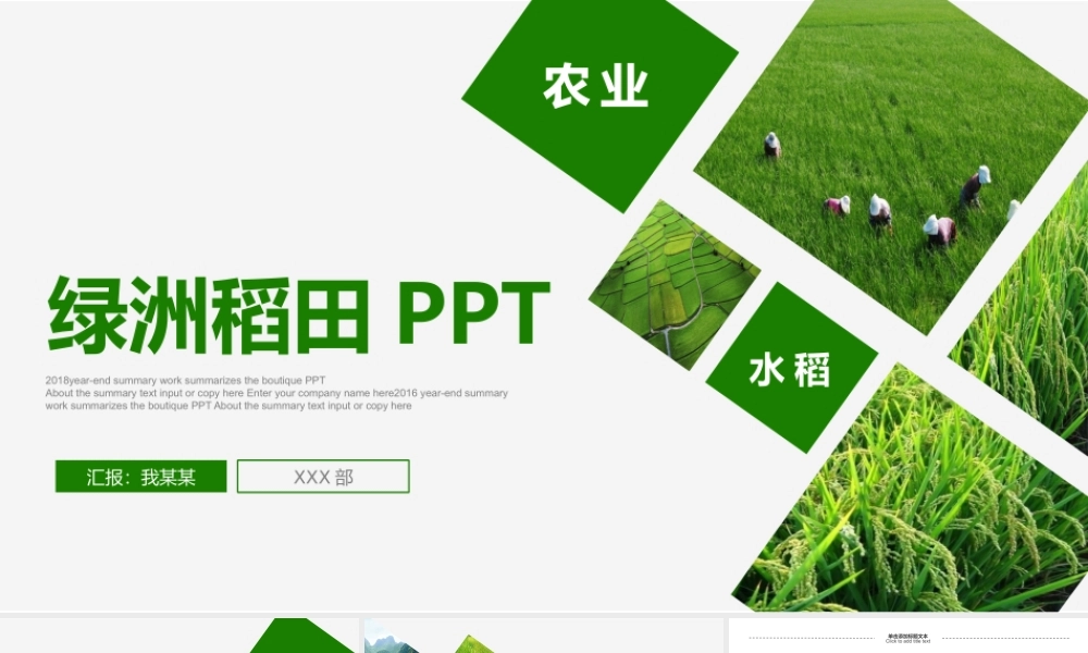8农业水稻稻田幻灯片.pptx