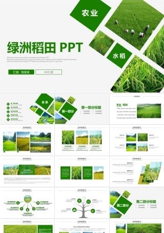 8农业水稻稻田幻灯片.pptx