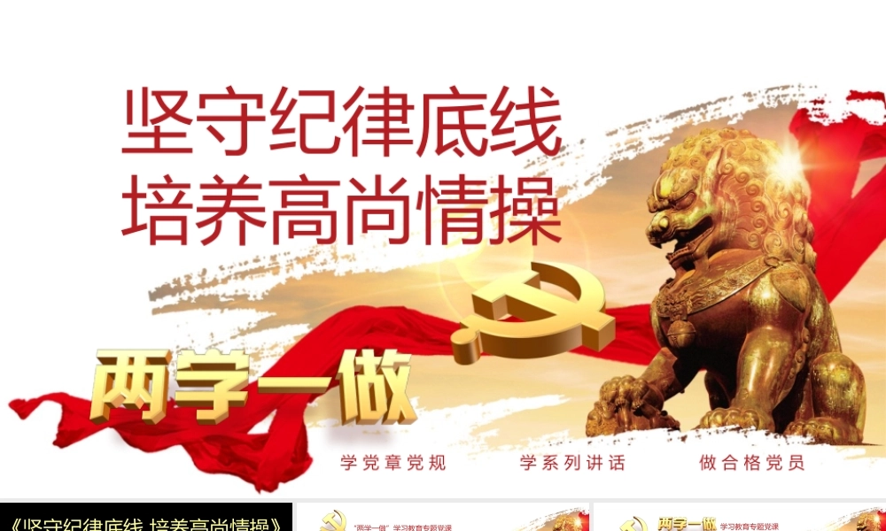14坚守纪律底线 培养高尚情操.pptx