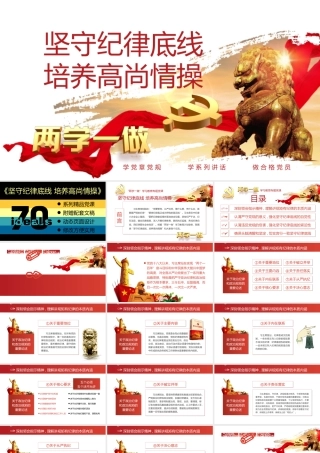 14坚守纪律底线 培养高尚情操.pptx