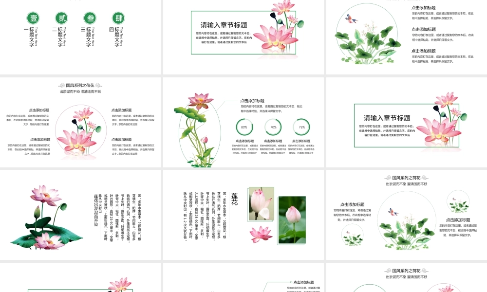 2017小清新荷花汇报模板.pptx