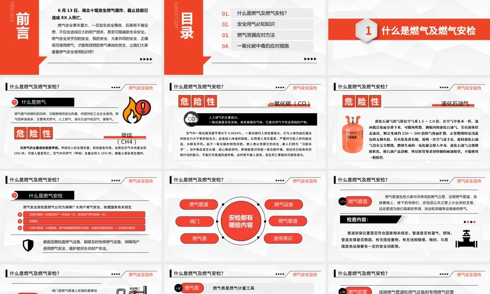 2021安全用气共筑平安PPT安全生产月天燃气安全知识宣传PPT模板.pptx