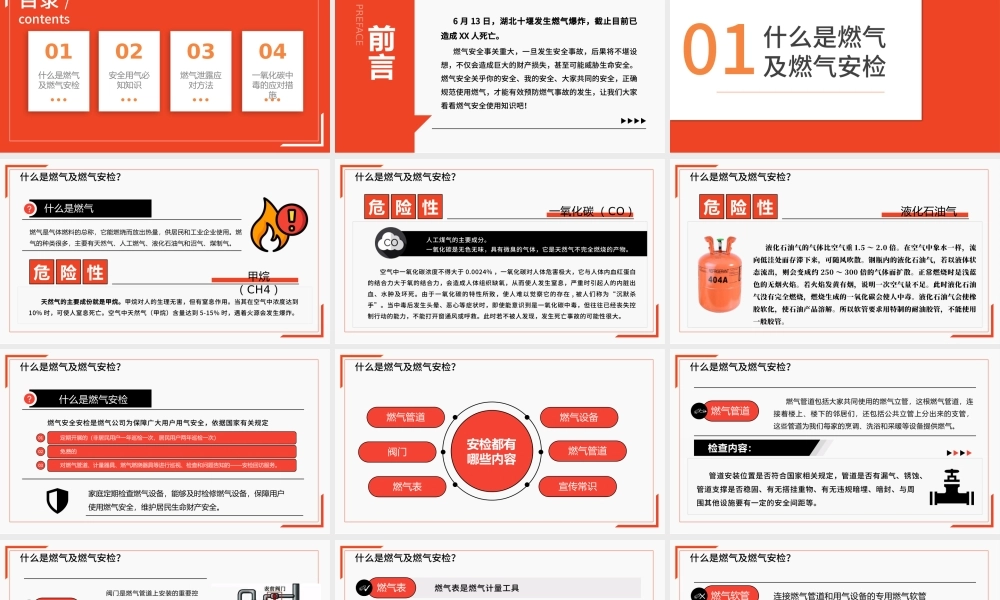 2021安全用气共筑平安天燃气安全知识宣传PPT模板.pptx