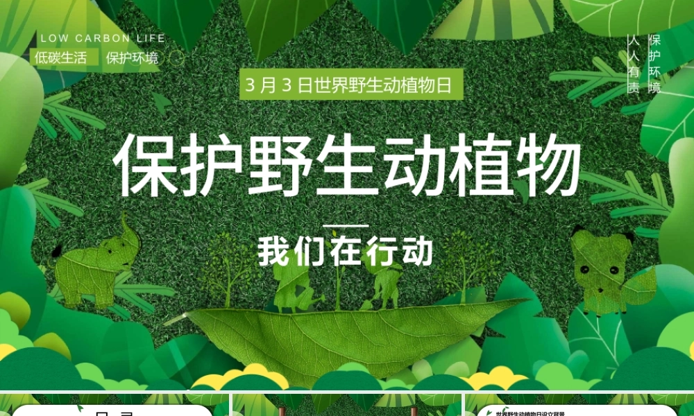 2022保护野生动植物PPT卡通简约风世界野生动植物日知识介绍课件模板.pptx