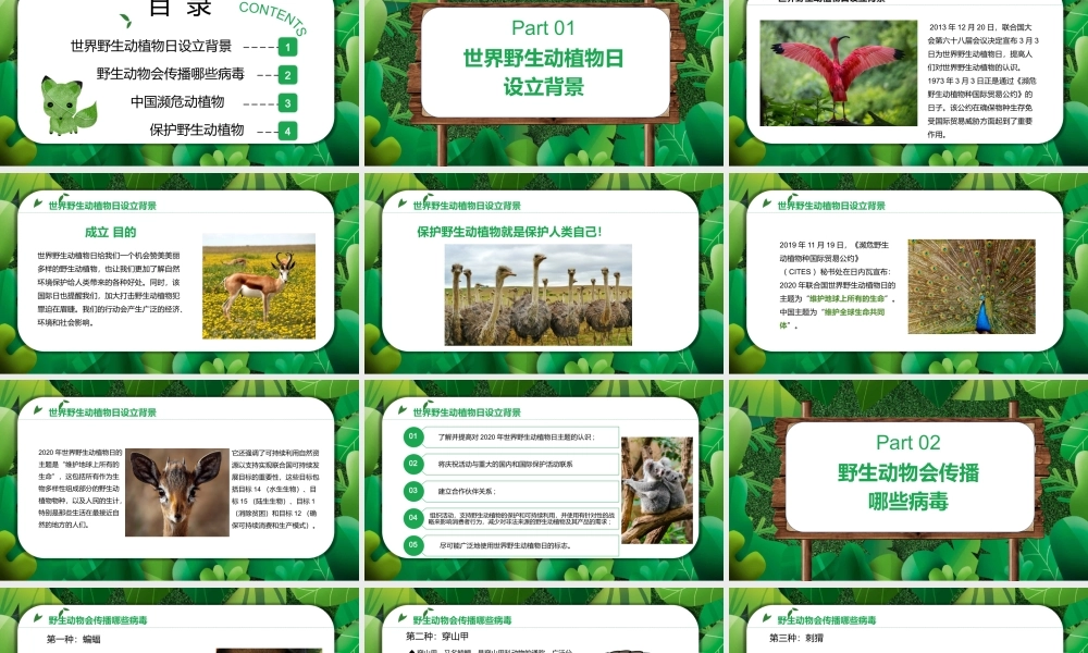 2022保护野生动植物PPT卡通简约风世界野生动植物日知识介绍课件模板.pptx